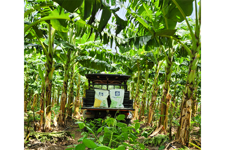 Yara en Finca Destino 18