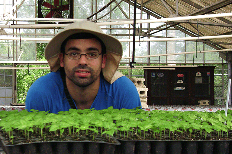 2011. Vivero de ajíes, EEAG.