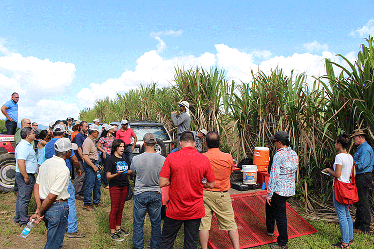 2016. NRCS Tour, Estación Experimental Agrícola de Gurabo [EEAG].