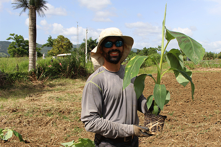 2016. Siembra de plantas de Cultivo in-vitro, EEAG.