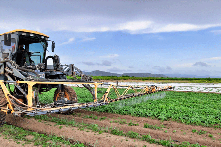 2021. Fertilización foliar con Yara Vita.