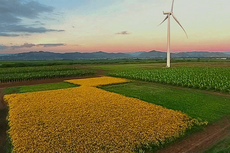 2023. Finca Destino 18, Santa Isabel, PR.