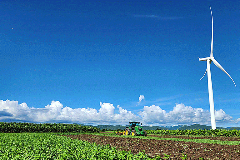 2024. Finca Destino 18, Santa Isabel, PR.