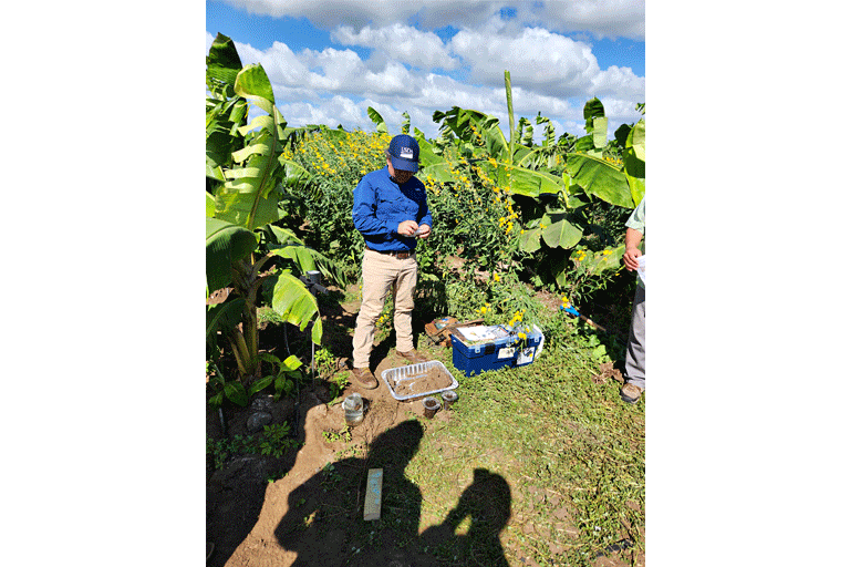 2024. R&D Partnerships, USDA