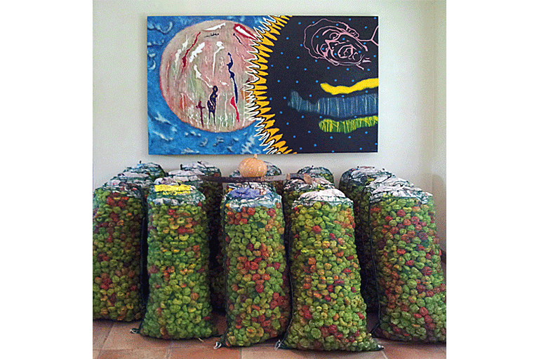 2012. Cosecha de ajíes, EEAG.