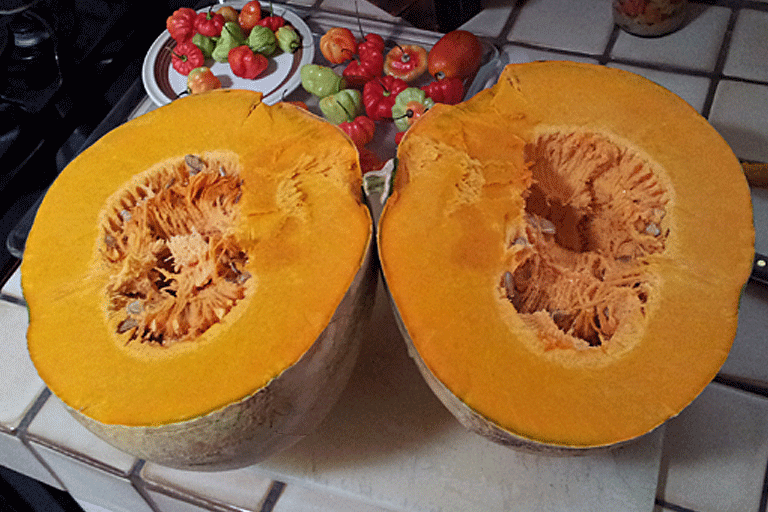 Calabaza Taína dorada