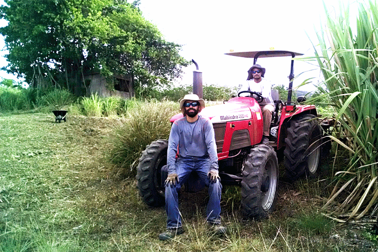 2015. Tractor Mahindra, EEAG.