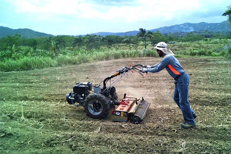 2015. Preparación del terreno, EEAG.