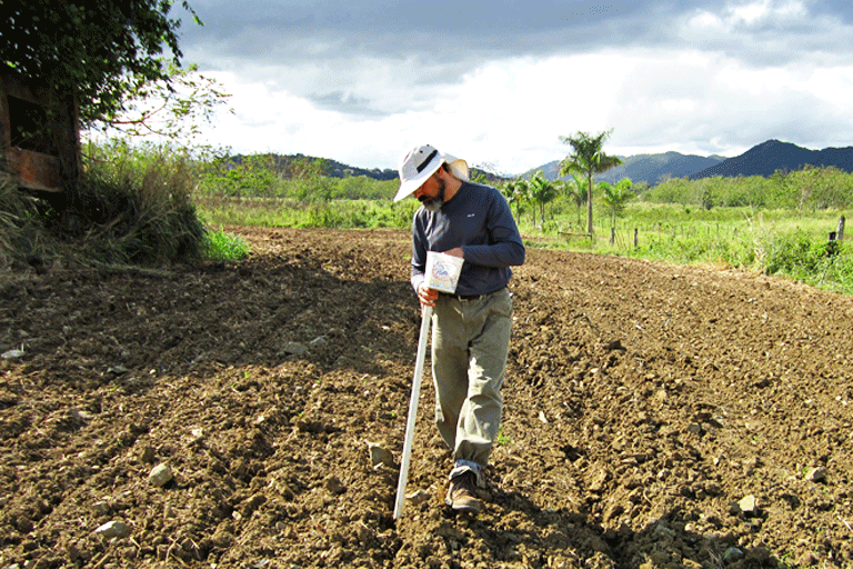 2012. Sembrando Canavalia, EEAG.