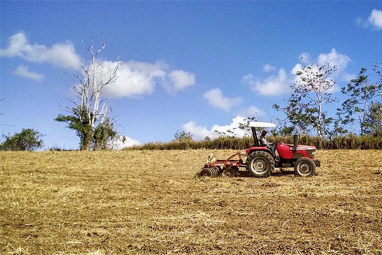 2015. Integración de vestigios de Sorgo al suelo, EEAG.