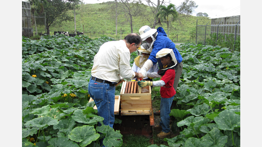2012. Integración de abejas a los predios de cultivo.