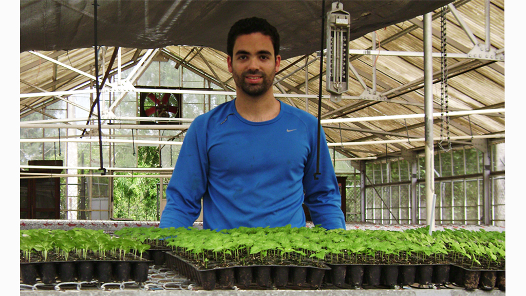 2011. Cultivo de ajíes en la Estación Experimental Agrícola de Gurabo, PR.
