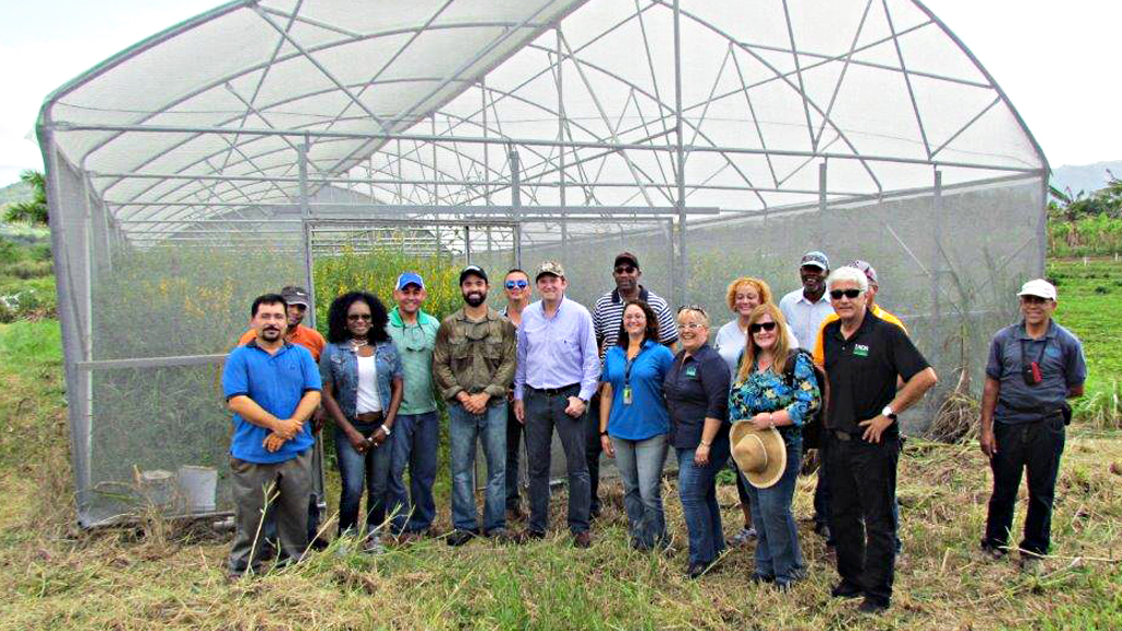 2015. Proyecto de Agro Tropical es visitado por Kirk Hanlin, Assistant Chief de NRCS, y miembros de NRCS.