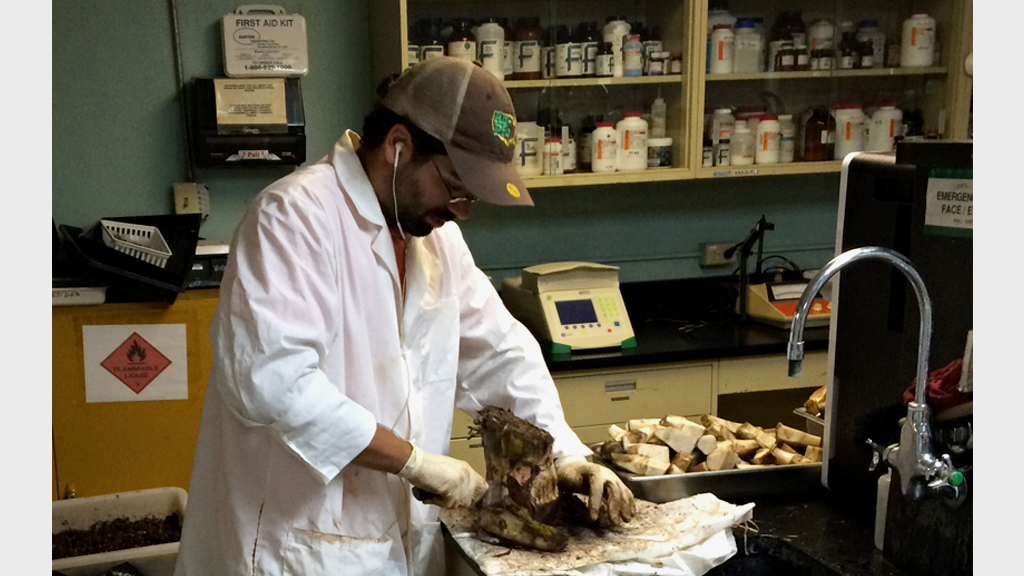 2015. Duamed se adiestra en el Cultivo in-vitro de tejidos de plantas.